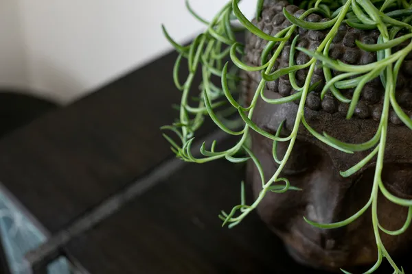 UPPER HERMOSA left 3